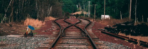 pexels-craig-adderley-1557689
